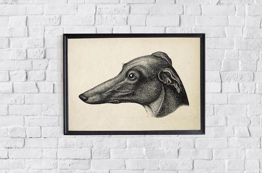 Antique Greyhound Poster