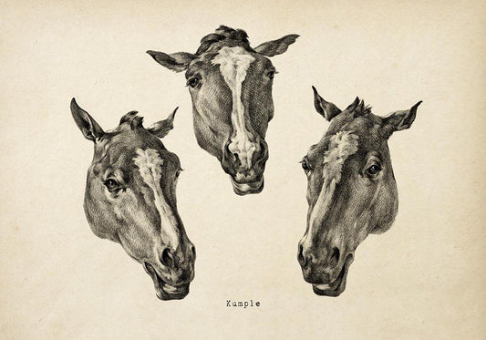 Antique Horses Poster