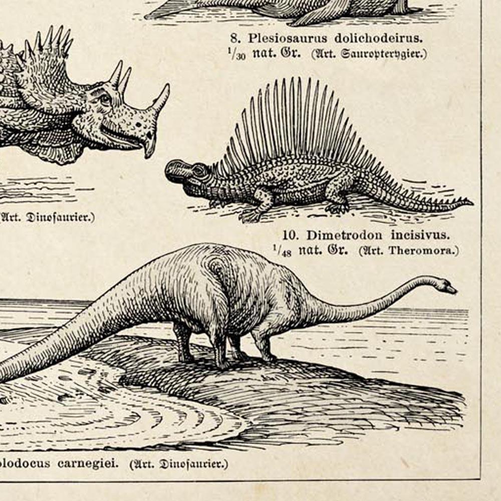 Antique Dinosaurs and Fossils Poster