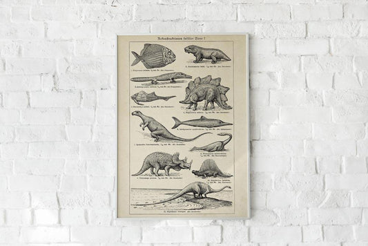 Antique Dinosaurs and Fossils Poster