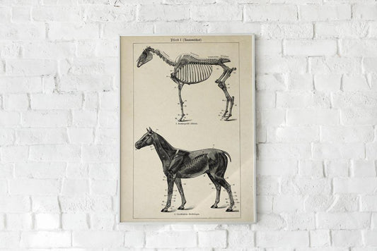 Antique Horses I Poster
