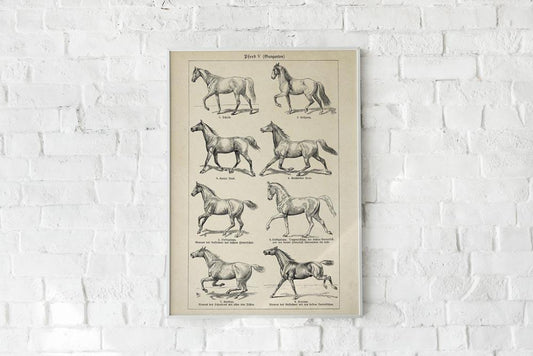 Antique Horses III Poster