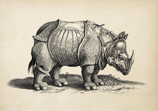 Antique Rhino Poster