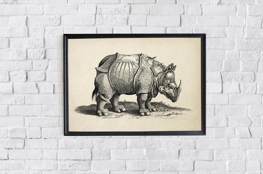Antique Rhino Poster