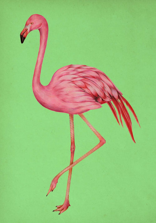 Antique Pink and Green Flamingo Poster
