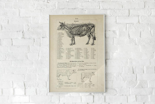 Antique Cow and Bull Rind Poster
