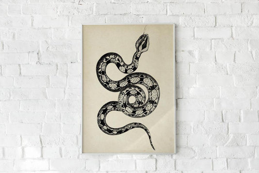 Antique Snake Poster