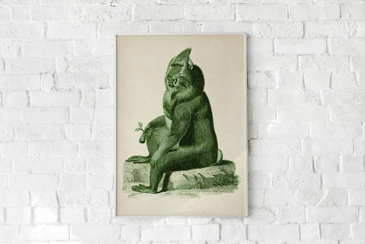 Antique Green Baboon Poster