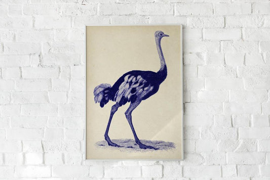 Antique Blue Ostrich Poster