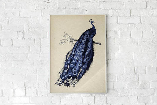 Antique Blue Peacock Poster