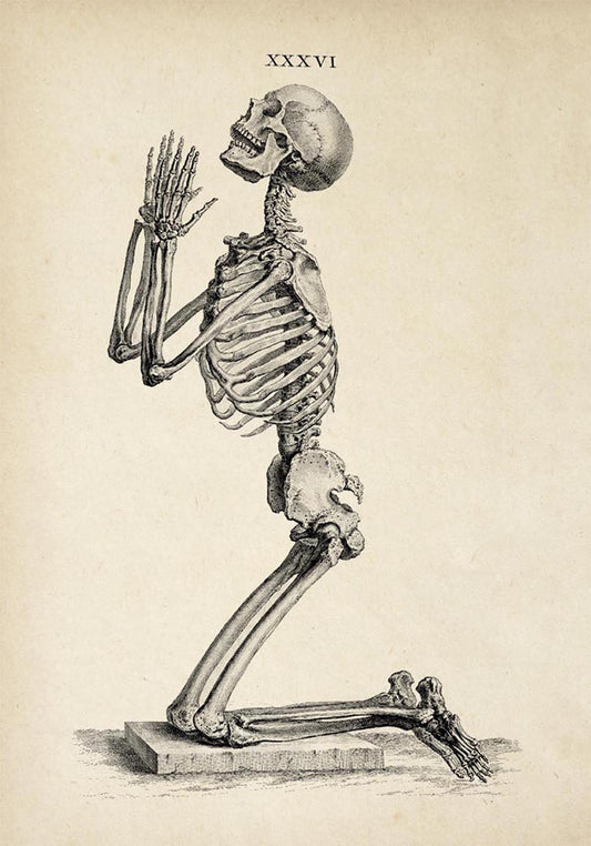 Antique Praying Skeleton Poster