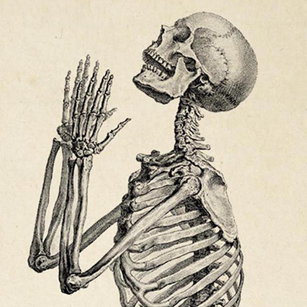 Antique Praying Skeleton Poster