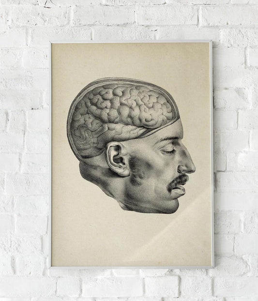 Antique Moustache Human Brain Poster