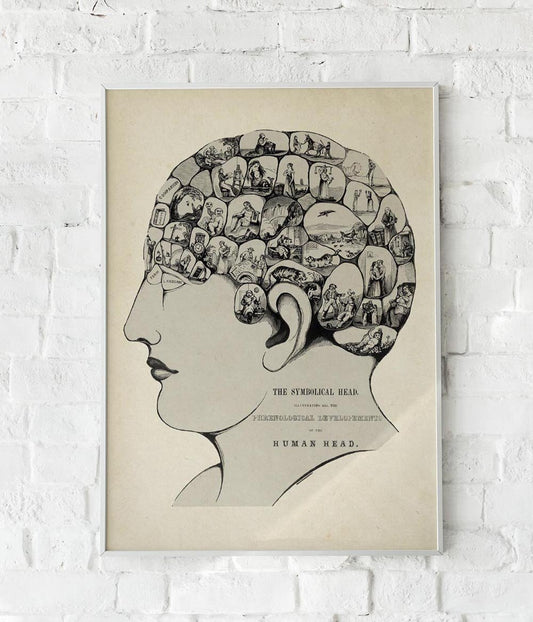 Antique Phrenological Chart Poster