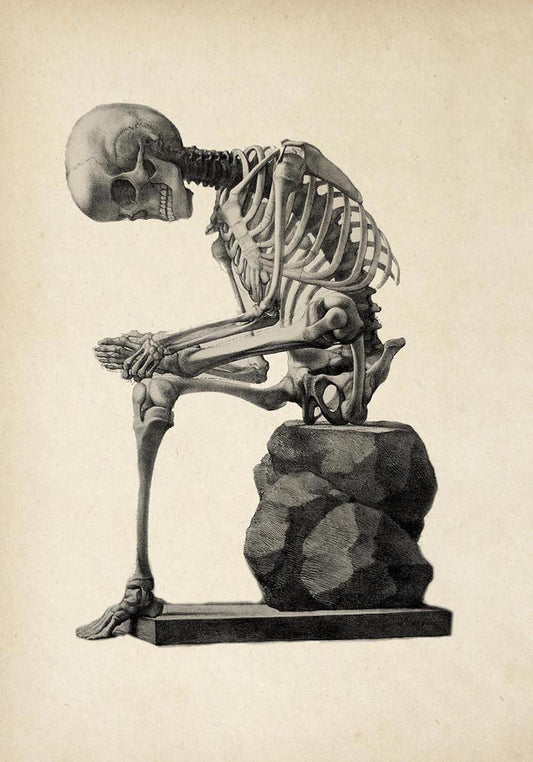Antique Thinking Skeleton Poster