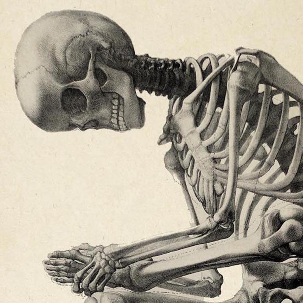 Antique Thinking Skeleton Poster