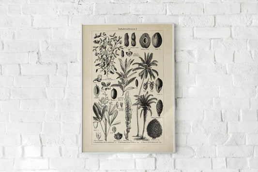 Antique Palm Tree Poster