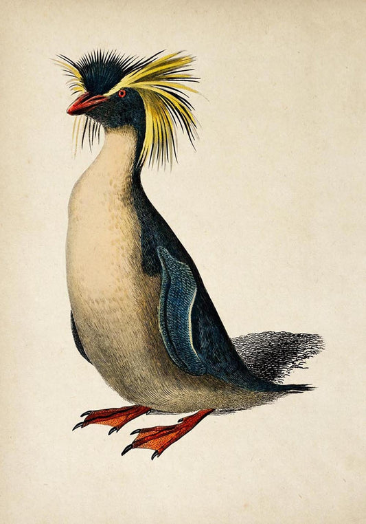 Antique Penguin I Poster