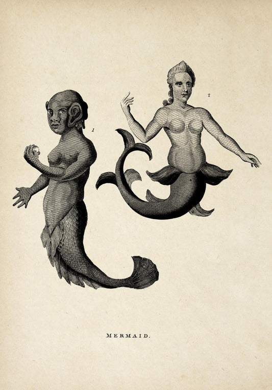 Antique Mermaid Poster