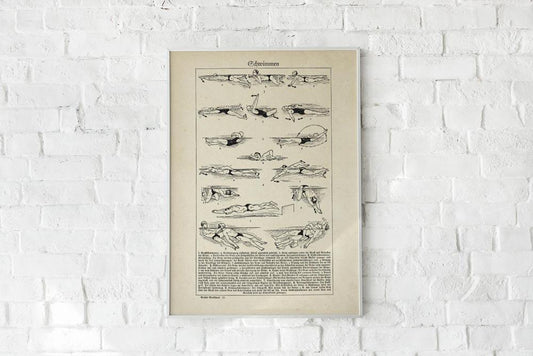 Antique Swimmers Poster