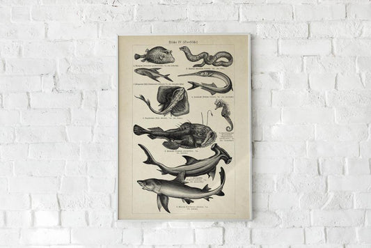 Antique Fishes I Poster