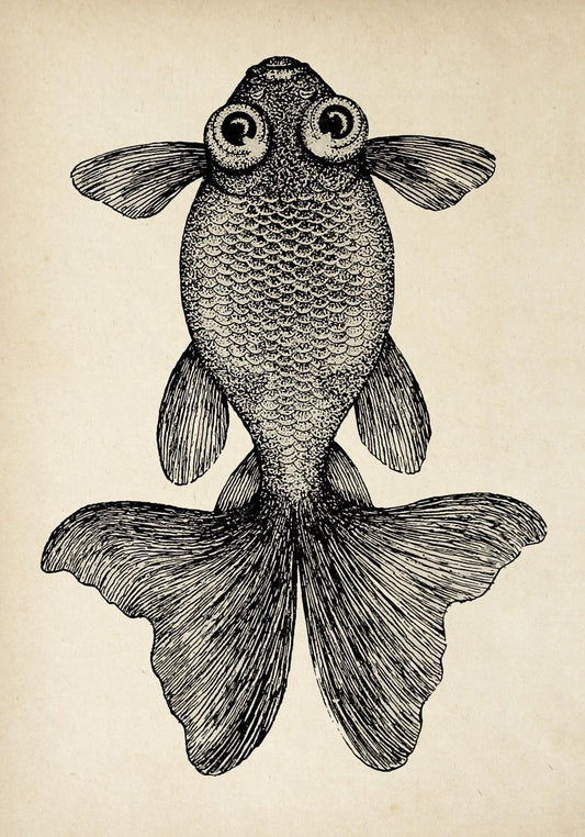 Antique Fish Poster