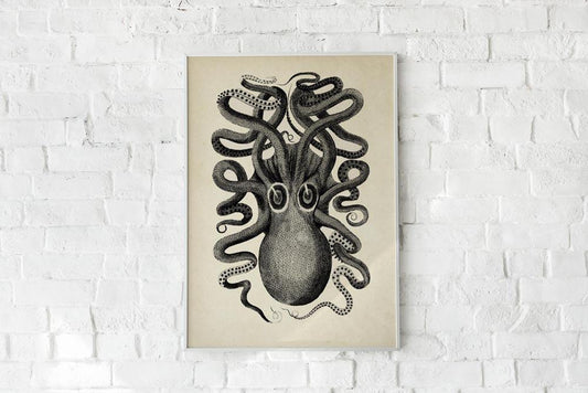 Antique Octopus II Poster