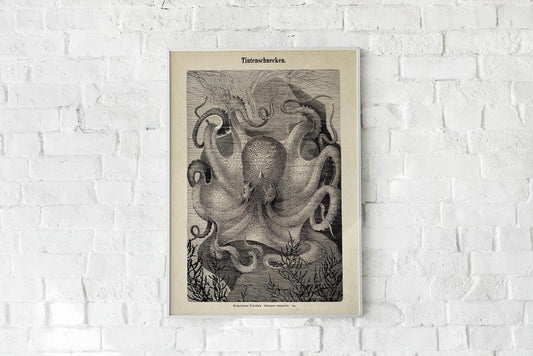 Antique Octopus III Poster