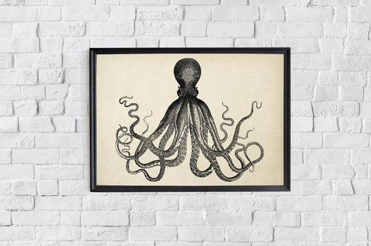 Antique Octopus IV Poster