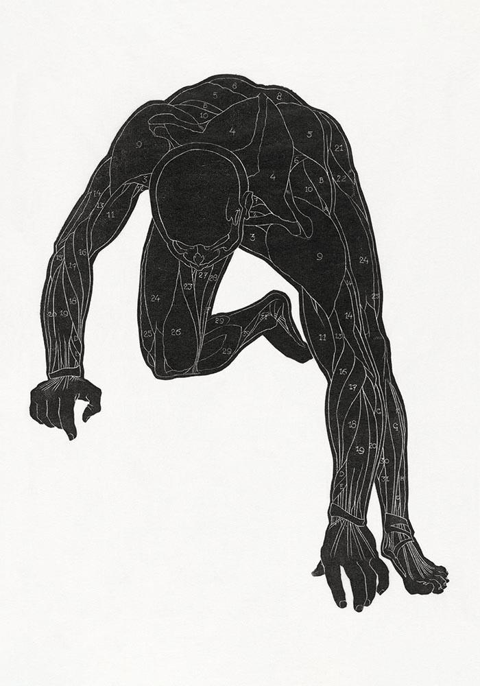 Anatomical Study Nr 1 by Reijer Stolk