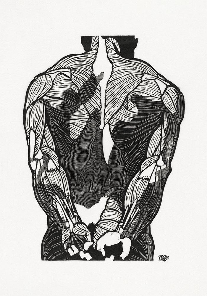 Anatomical Study Nr 3 by Reijer Stolk