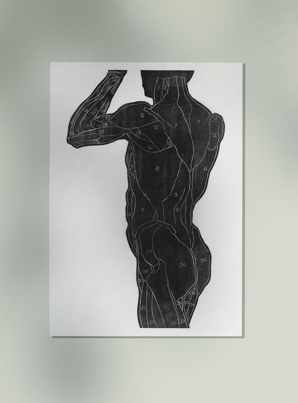 Anatomical Study Nr 4 by Reijer Stolk