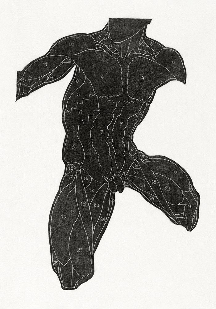 Anatomical Study Nr 5 by Reijer Stolk