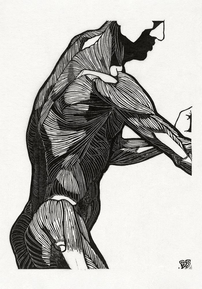 Anatomical Study Nr 7 by Reijer Stolk