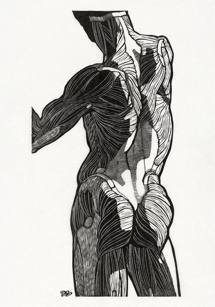 Anatomical Study Nr 12 by Reijer Stolk
