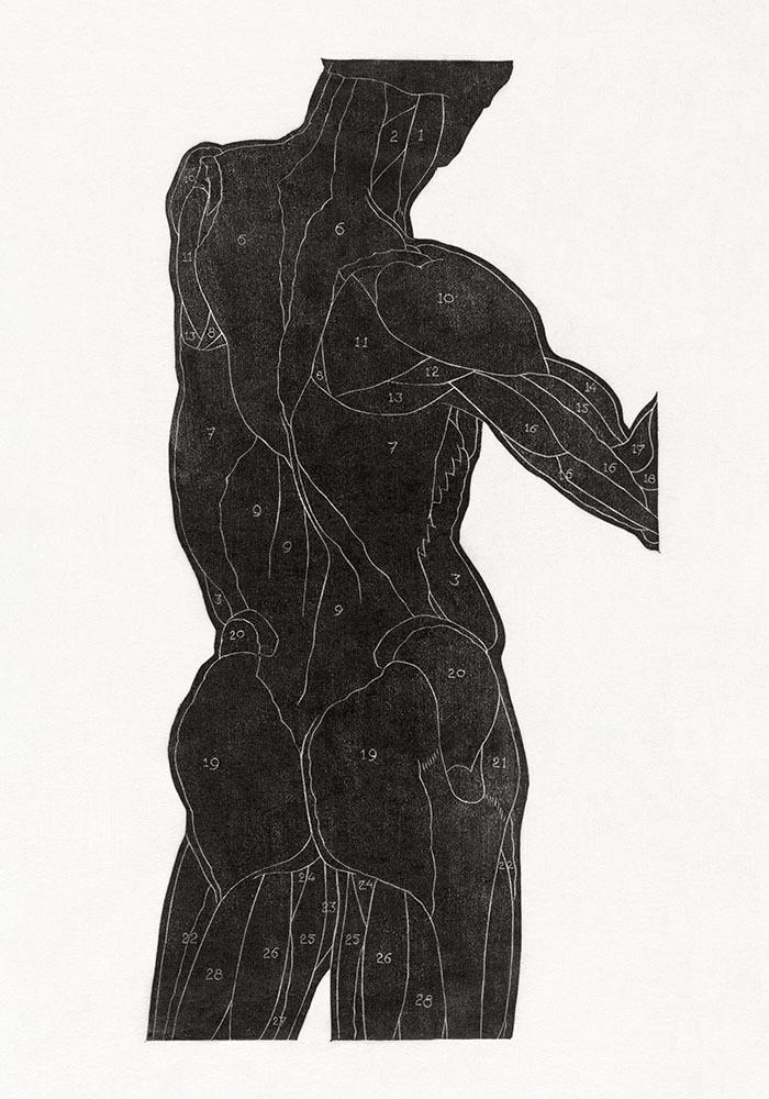 Anatomical Study Nr 13 by Reijer Stolk