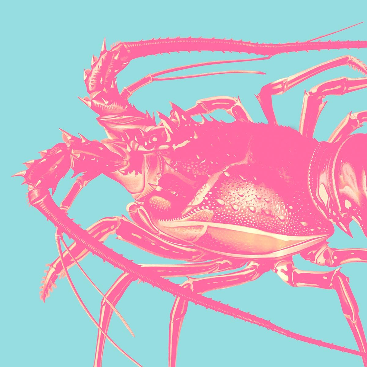 Pink Lobster Pop Art Poster