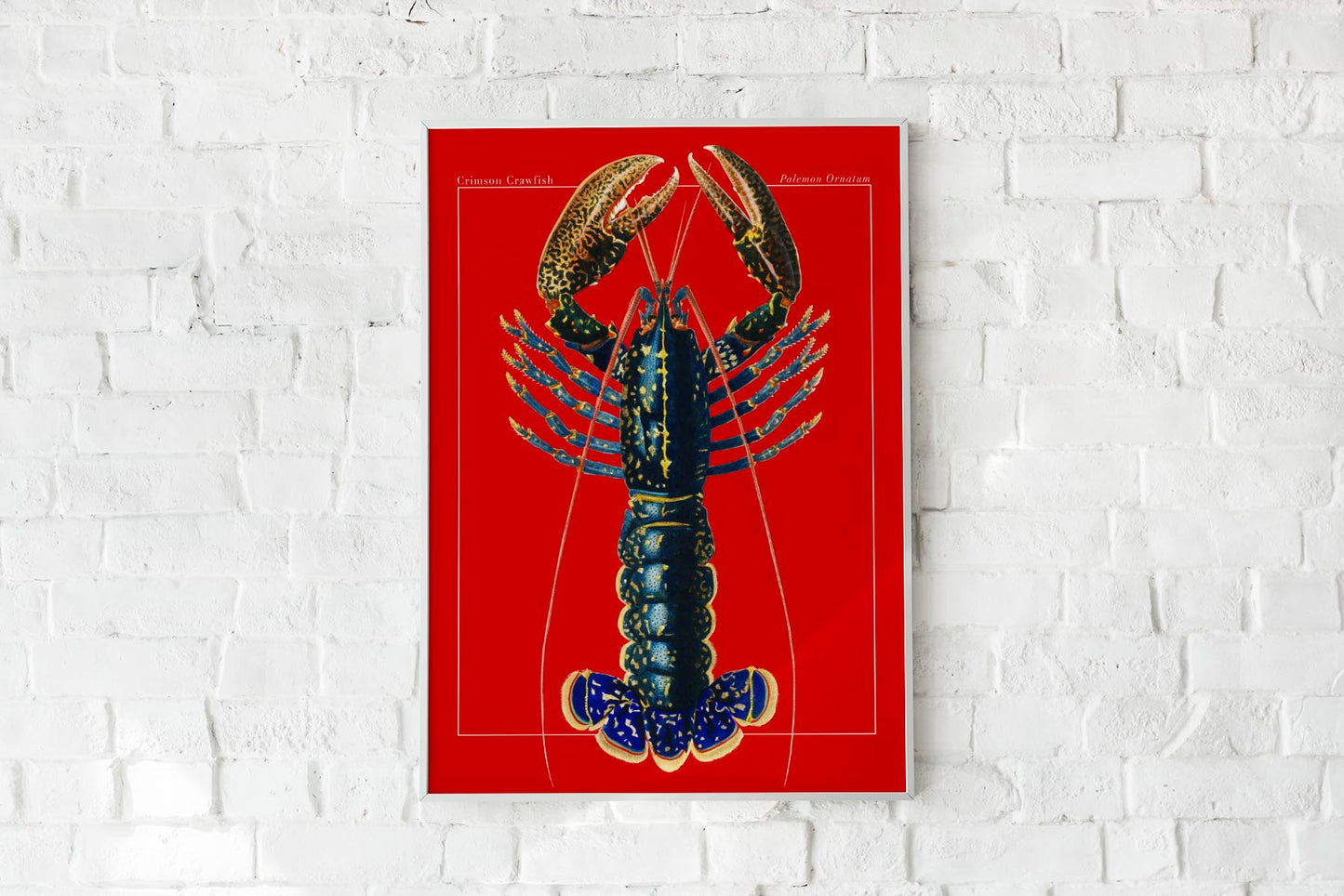 Red Lobster Poster