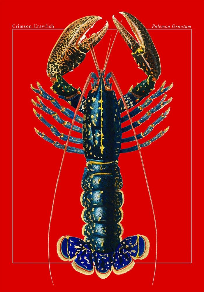 Red Lobster Poster