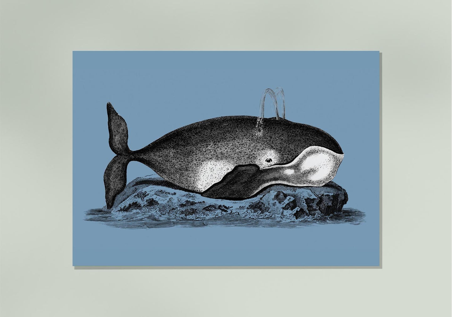 Whale on Blue Poster