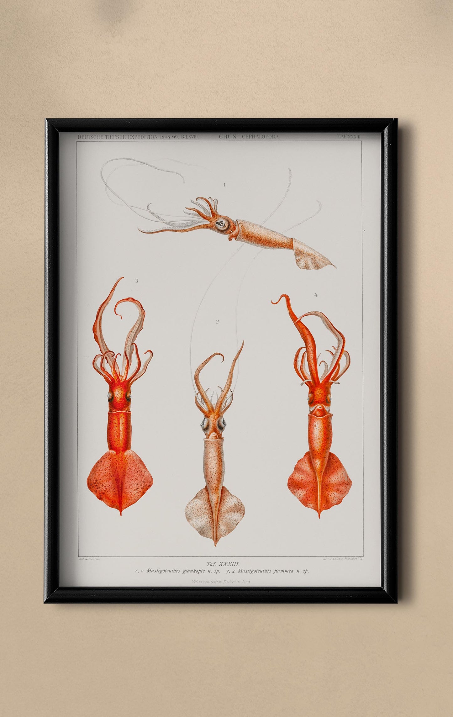 Whiplash Squid Poster