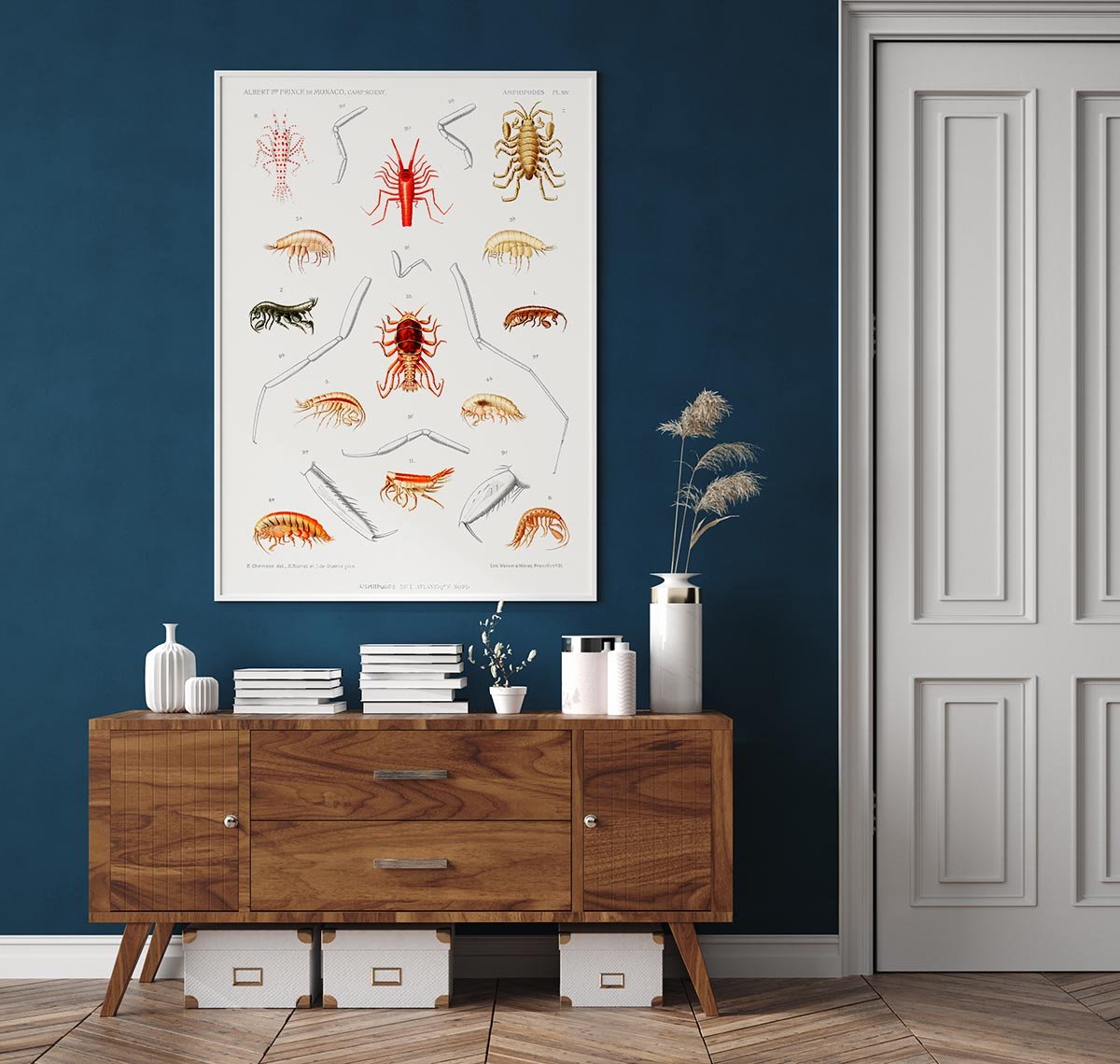 Amphipods of the North Atlantic Poster