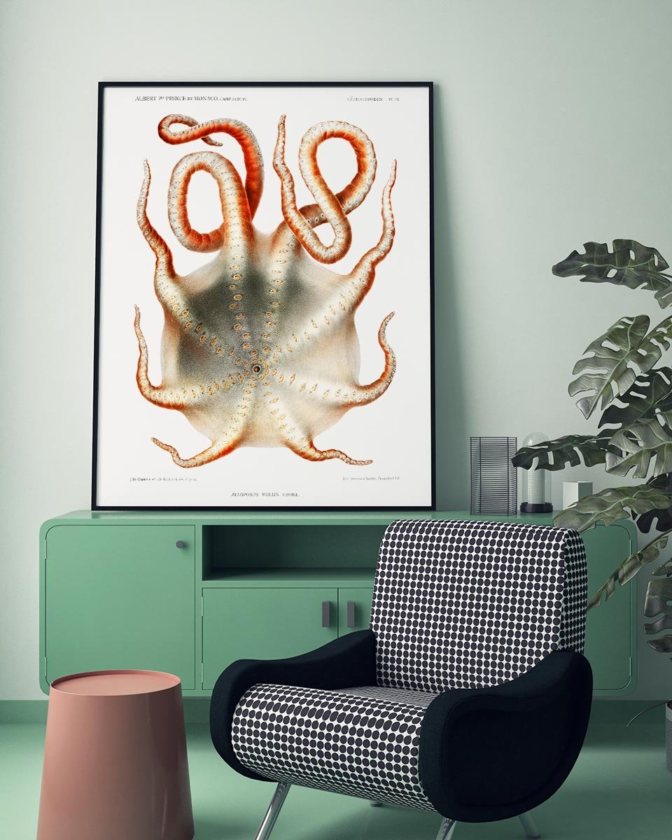 Seven-Arm Octopus Poster