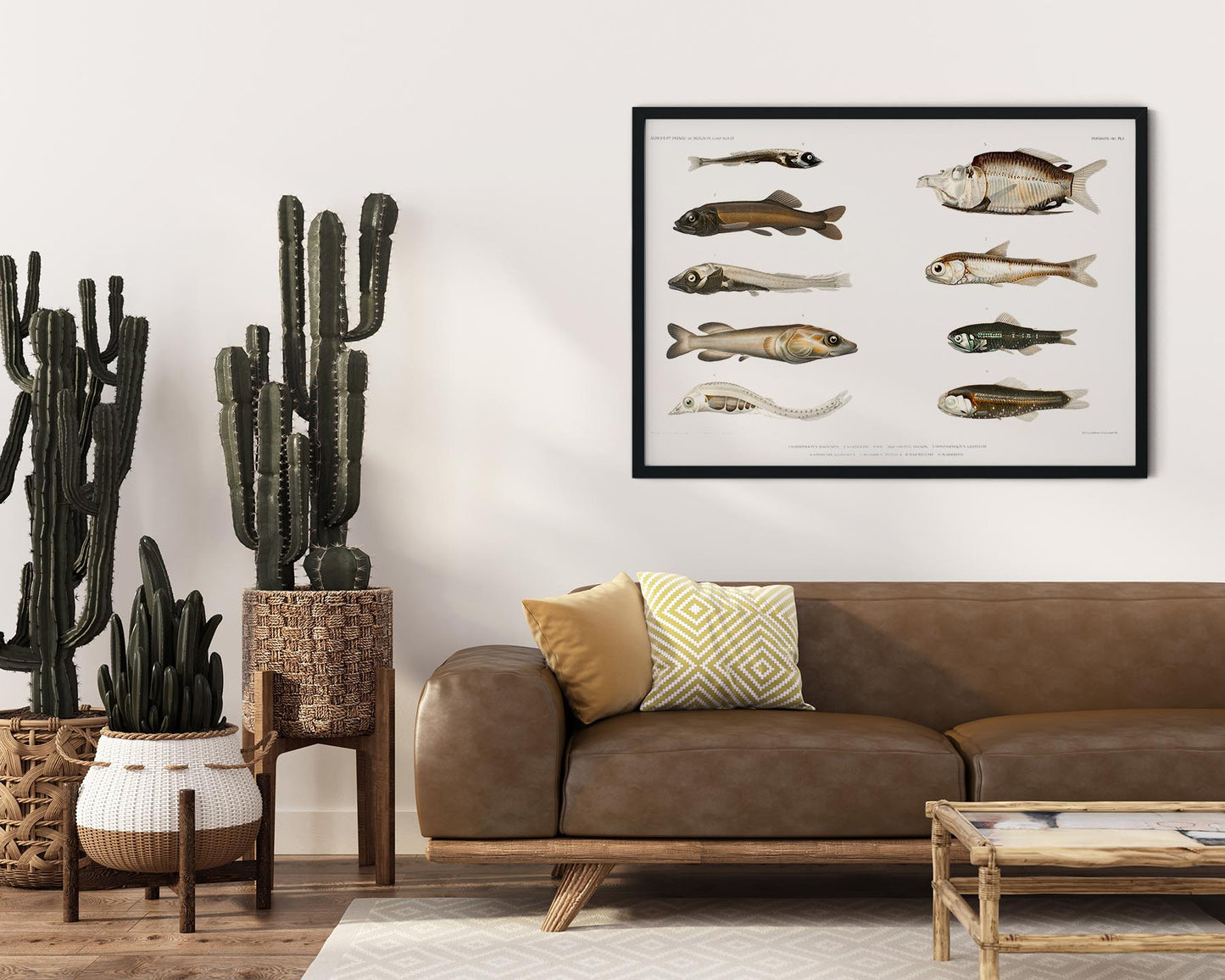Fish Varieties Poster