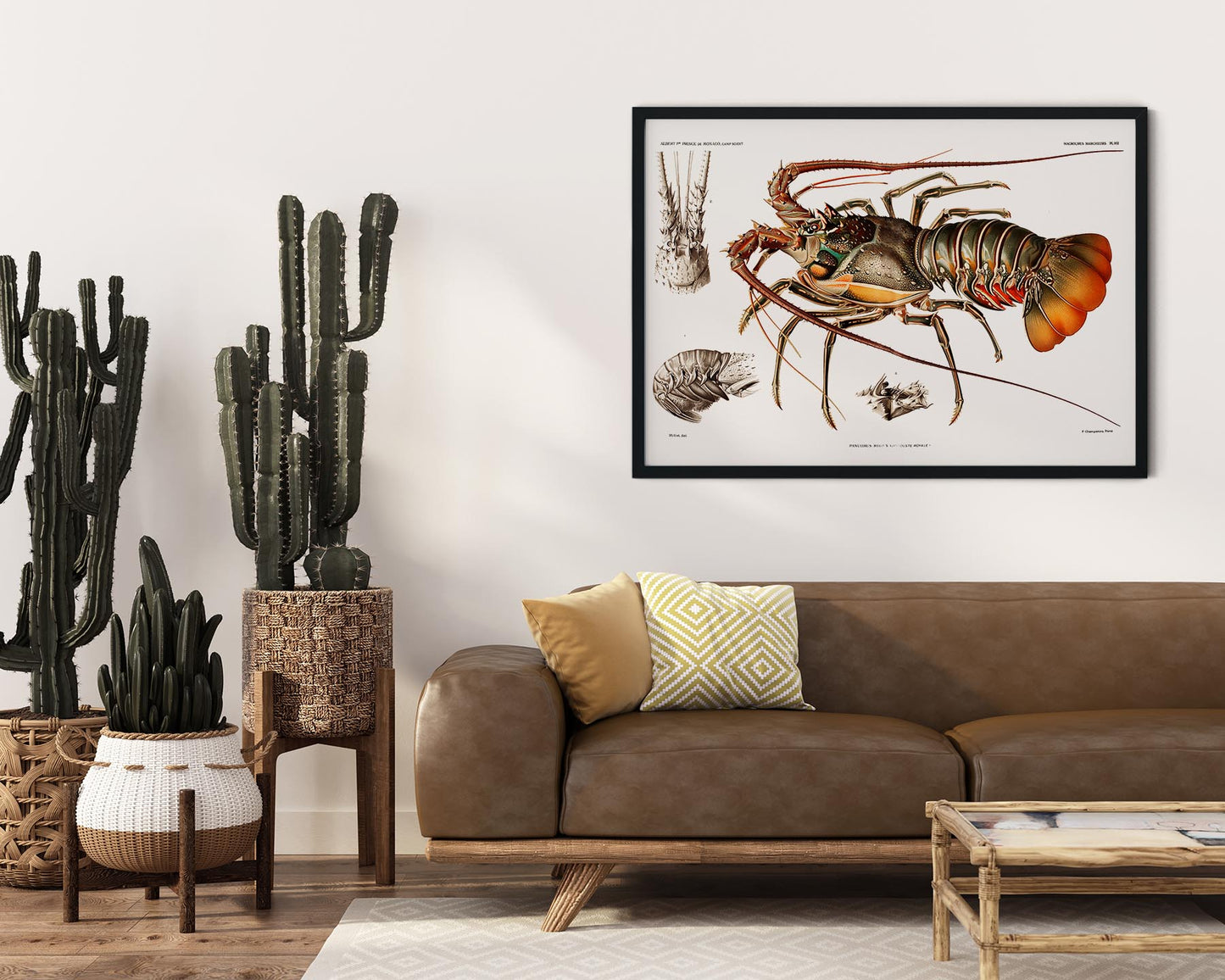 European Lobster Poster
