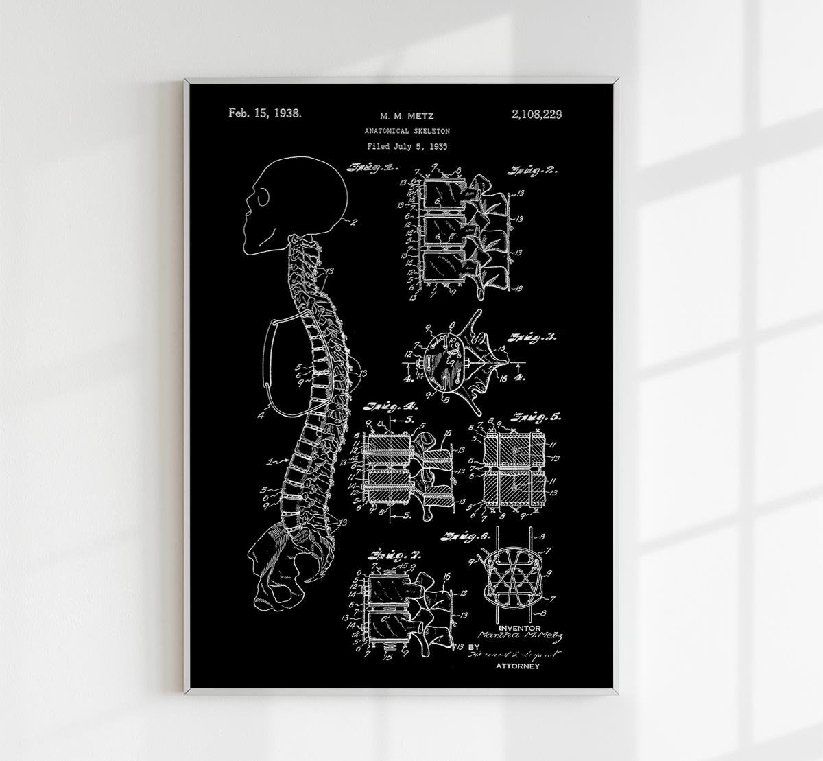 Anatomical Skeleton Patent Poster