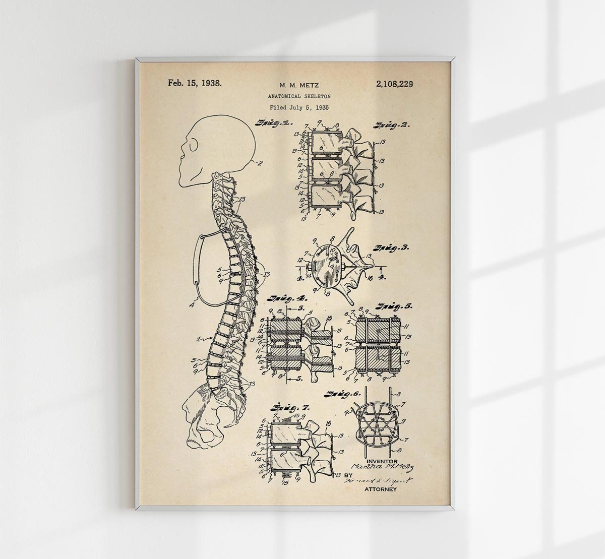 Anatomical Skeleton Patent Poster