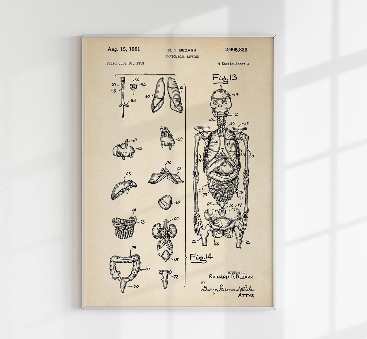 Anatomical Device Patent Poster