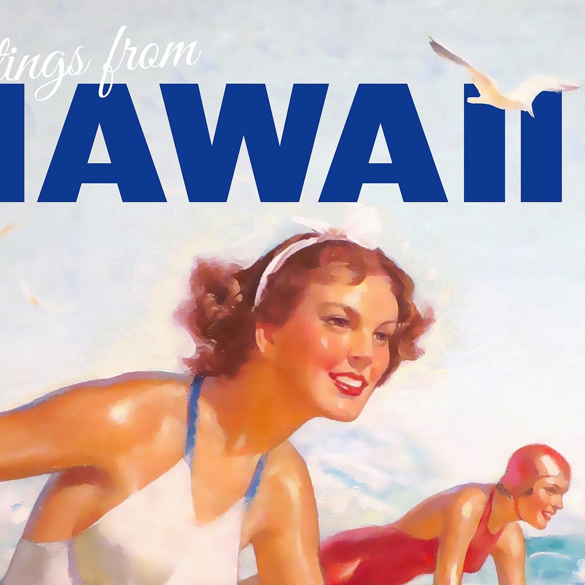 Hawaii Travel Poster