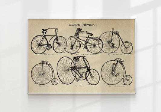 Bike Velocipede Vintage Poster